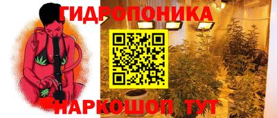 a pvp Будённовск