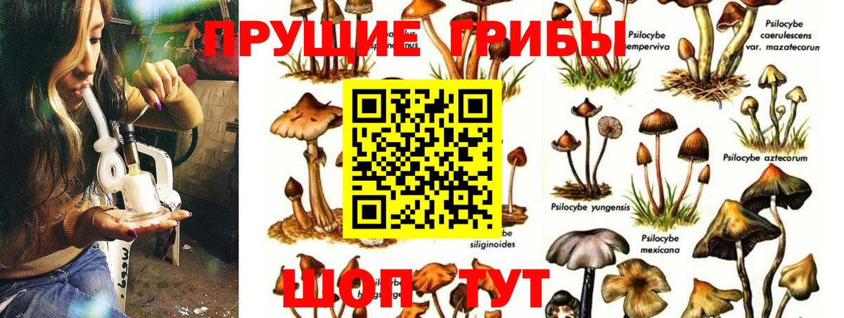 Кушва  Галлюциногенные грибы Cubensis  цена   Вход с VPN 